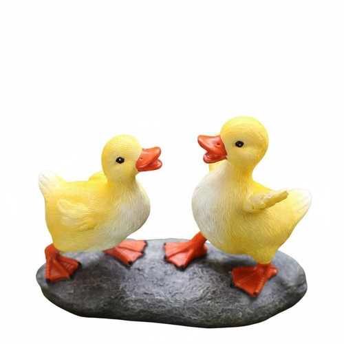 Zwei enten auf stein - enten,